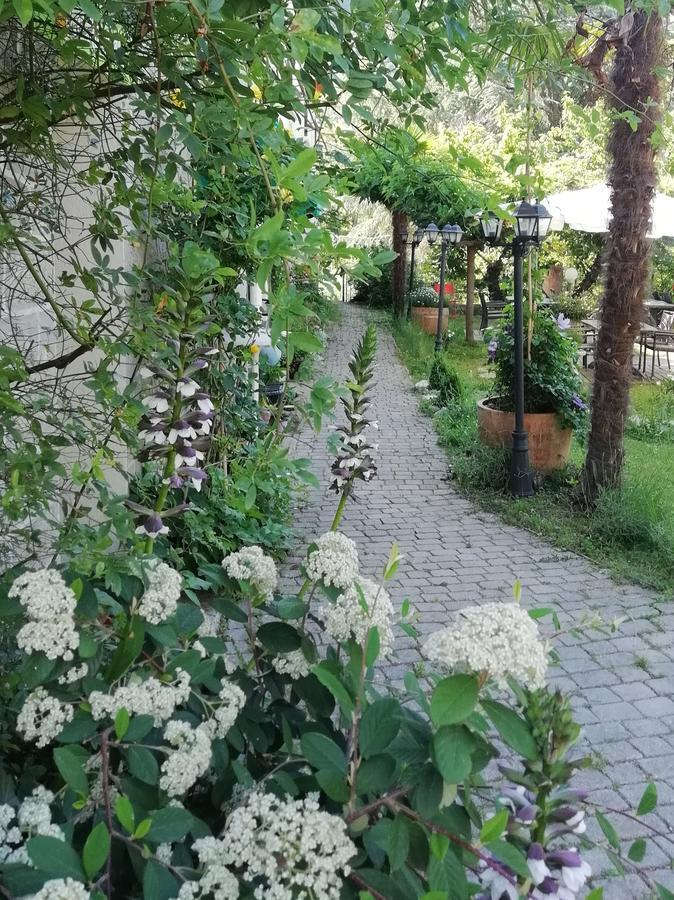 Гостьовий будинок La Mirabelle-Casteil Country House Екстер'єр фото